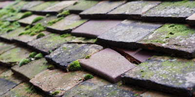 Fringford roof repair costs